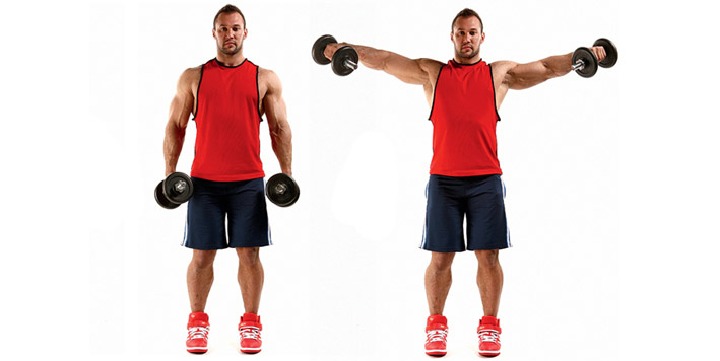 Разведение гантелей в стороны стоя