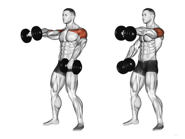 Махи гантелями перед собой