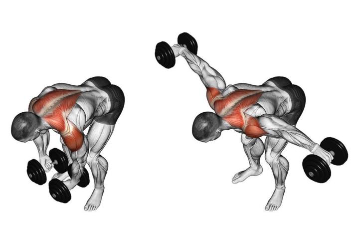 Разводка гантелей в стороны в наклоне