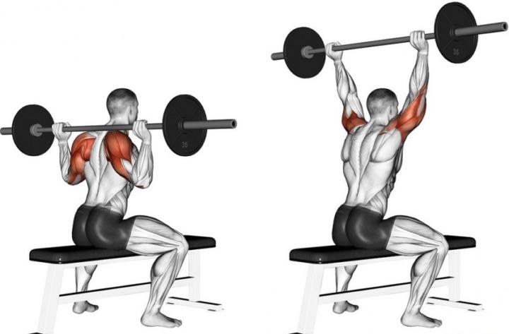 Жим штанги из-за головы