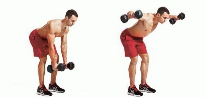 Разведение гантелей в стороны в наклоне