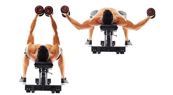 как накачать нижнюю часть грудных мышц