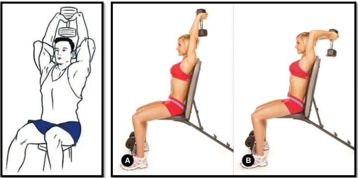 французский жим на трицепс