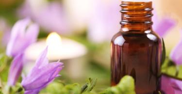 левзея в таблетках