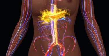 нарушение обмена веществ симптомы у женщин