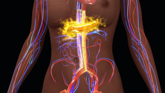 препараты для ускорения метаболизма