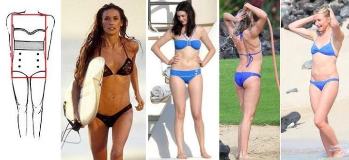 основные типы телосложения