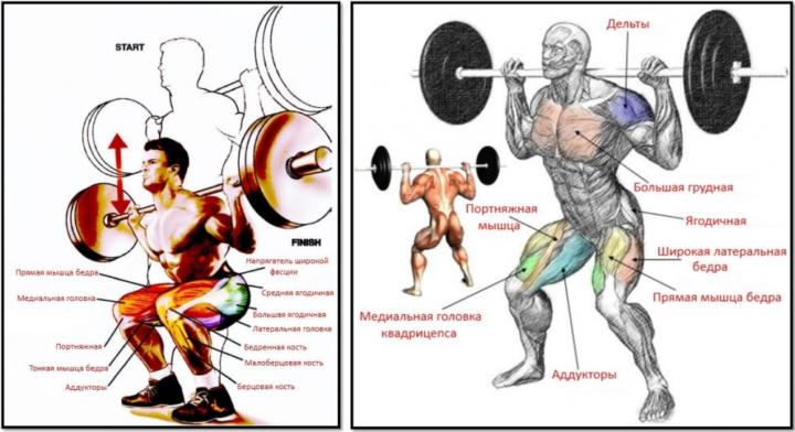 присед со штангой техника