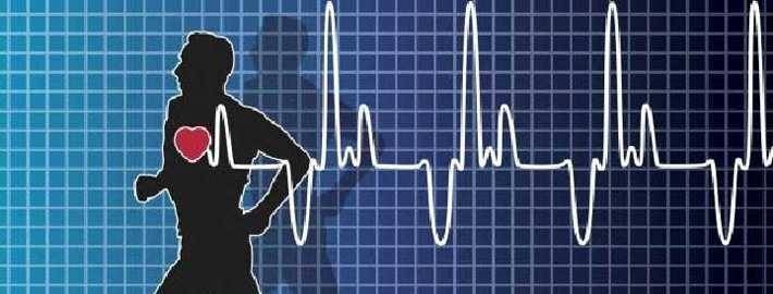 при каком пульсе сжигается жир у женщин