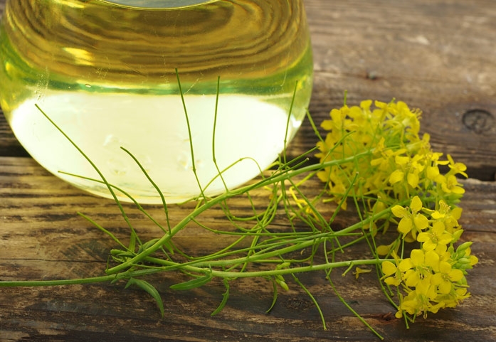 масло рыжиковое нерафинированное польза и вред