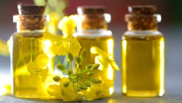 масло рыжиковое нерафинированное польза и вред