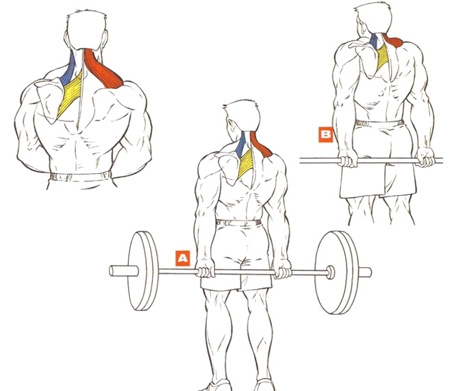 шраги со штангой