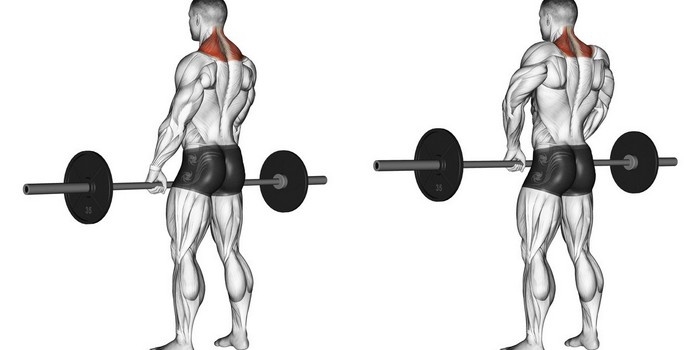 упражнение шраги