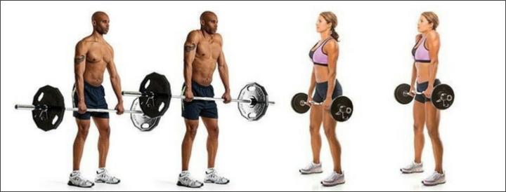 шраги в смите