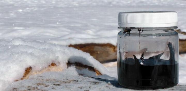 поднять иммунитет в домашних условиях