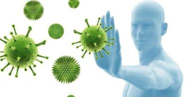 укрепление иммунитета у взрослых