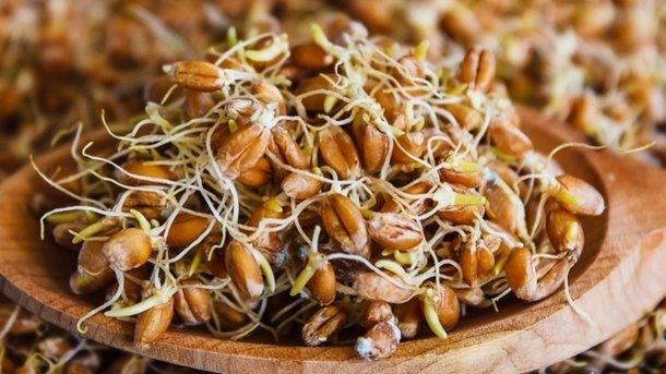 иммунитет как повысить препараты