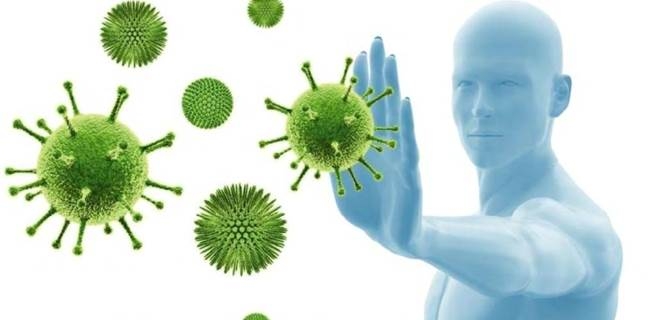 укрепить иммунитет взрослому человеку народными средствами