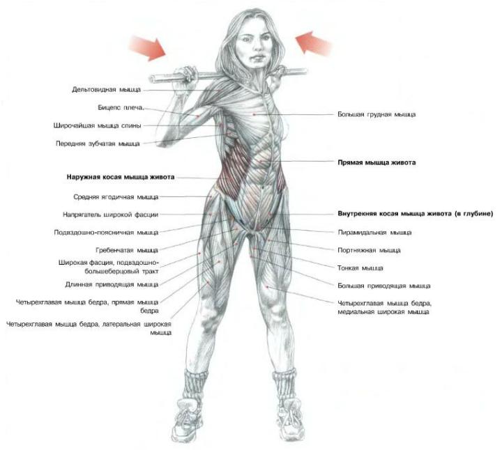 упражнения на косые мышцы живота