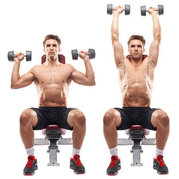 жим гантелей над головой