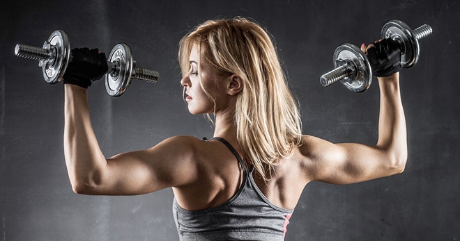 жим гантелей сидя какие мышцы работают