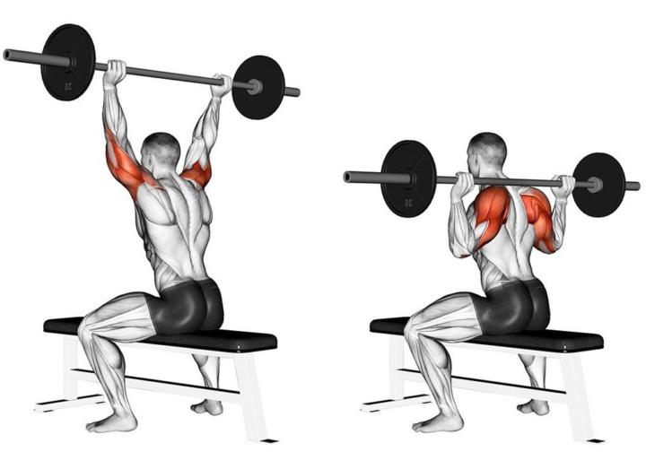 жим штанги над головой