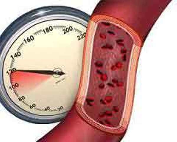 гипохолестериновая диета таблица продуктов